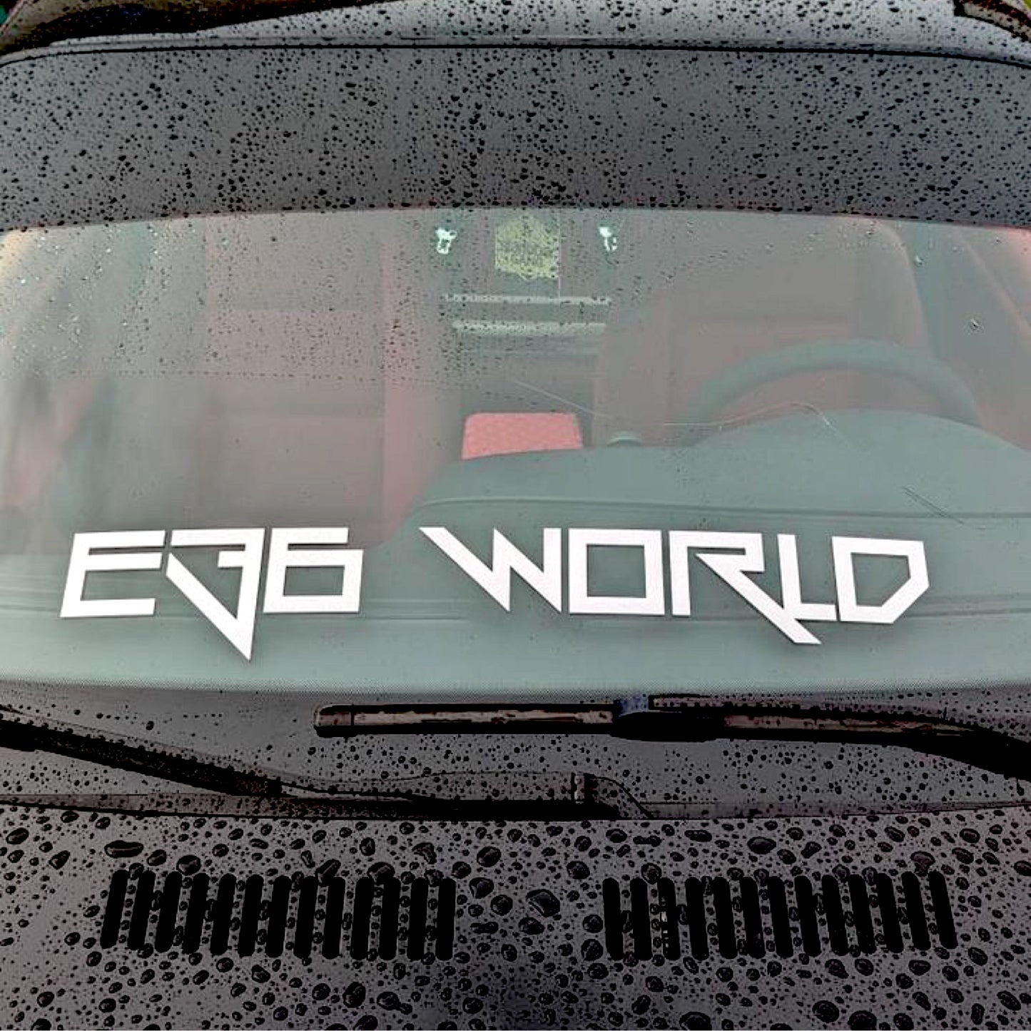 E36World V3 "XL"